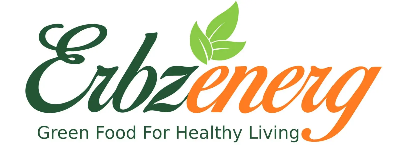 cropped-Erbzenerg-logo-A4-scaled-1-2048x733